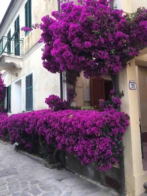 La Casa Dei Nonni Apartment Cavo