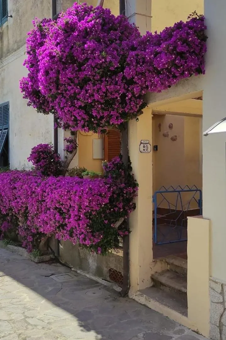 La Casa Dei Nonni Apartment Cavo 0*,  Italy