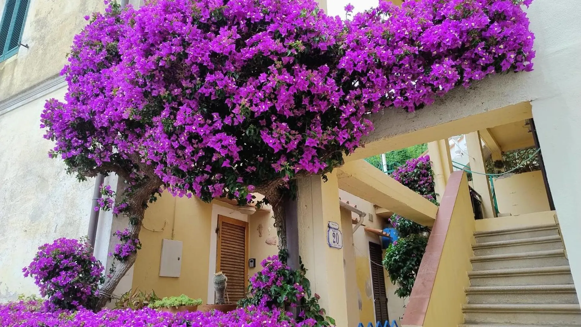 La Casa Dei Nonni Apartment Cavo